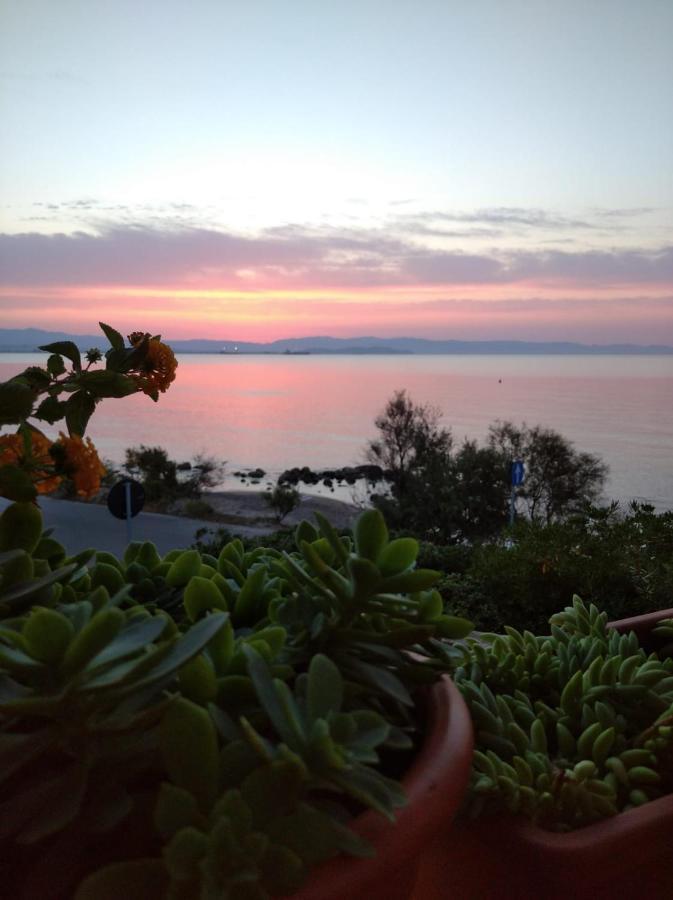 Villa Casa Bon' Aria Fronte Mare Sud Sardegna La Maddalena  Exterior foto